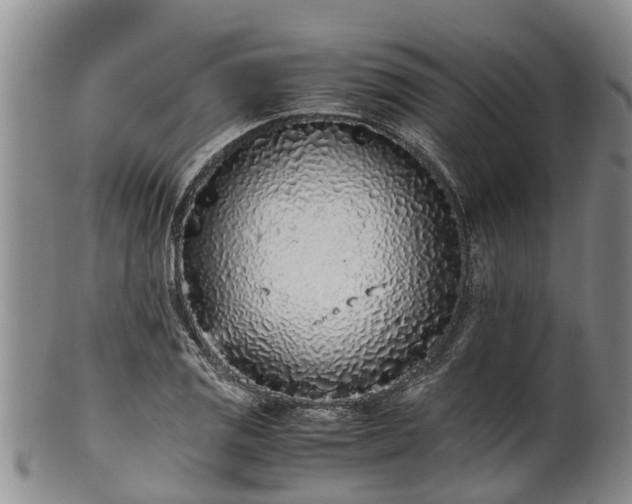 X0000102371125200808081146