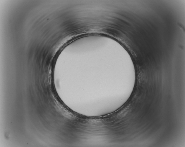 X0000102371126200808081146