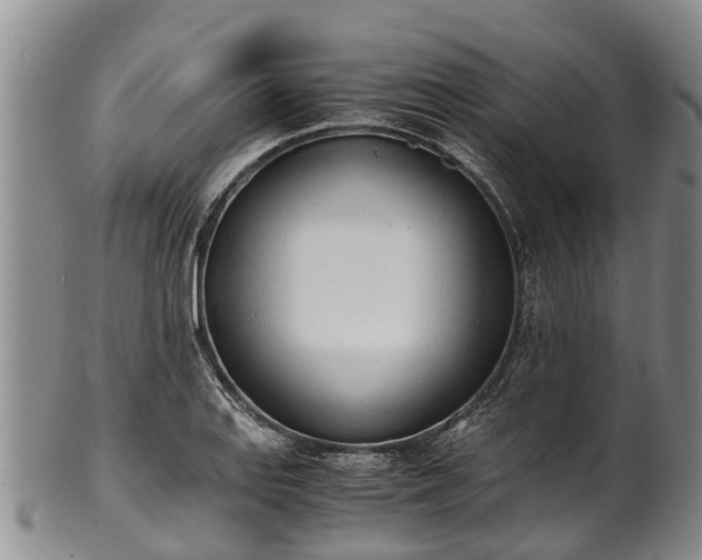 X0000102371127200808081146