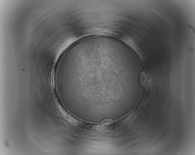 X0000102371128200808081146