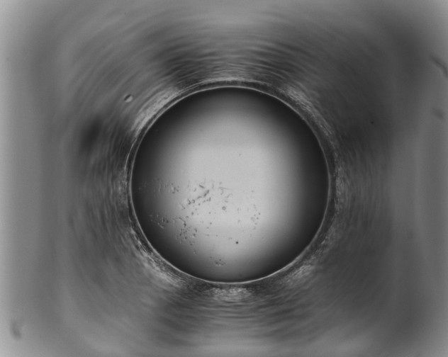 X0000102371129200808081146