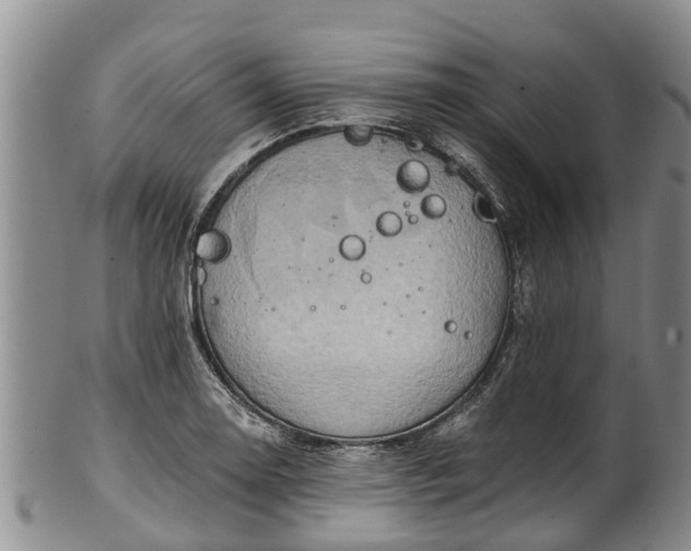 X0000102371130200808081147