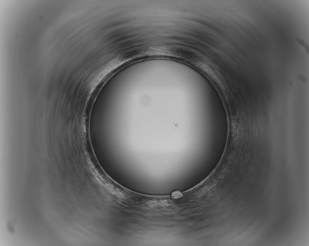 X0000102371133200808081147