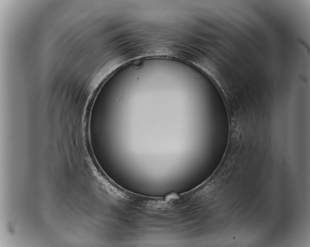 X0000102371135200808081147