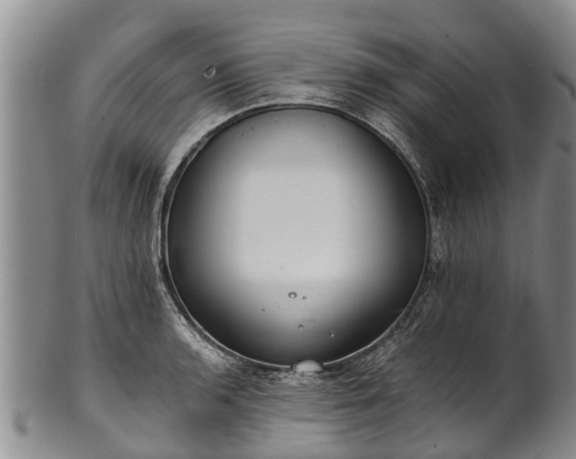 X0000102371136200808081147