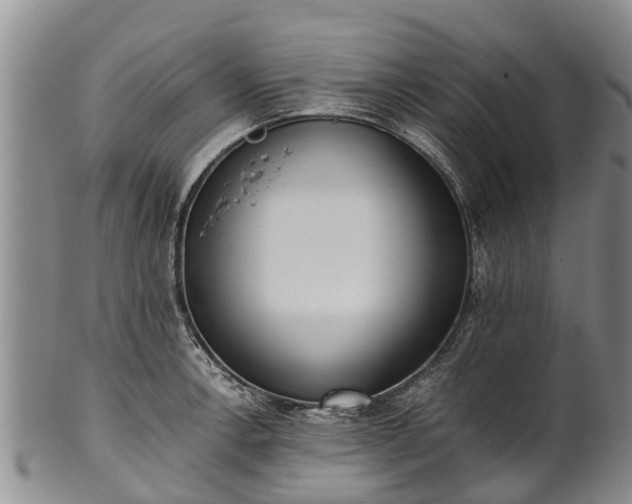 X0000102371138200808081147