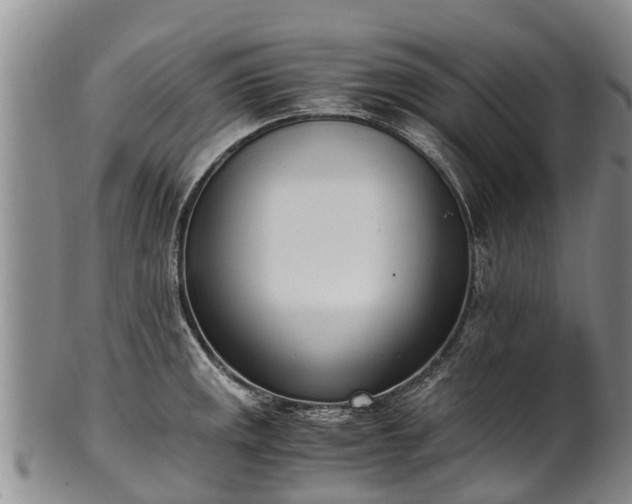 X0000102371141200808081147