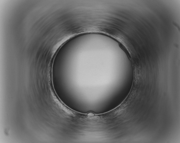 X0000102371142200808081147