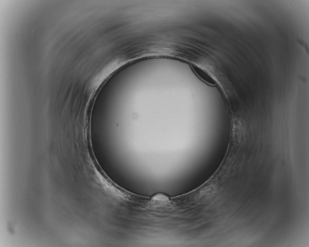 X0000102371143200808081147