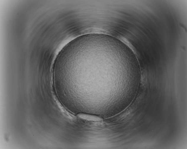 X0000102371144200808081147