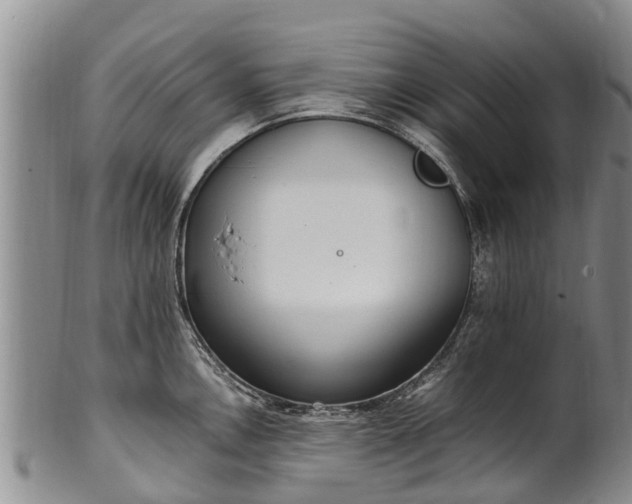 X0000102371146200808081147