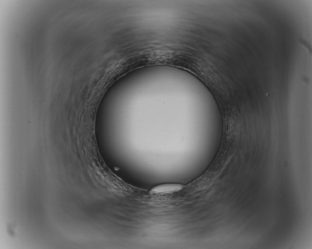 X0000102371153200808081146