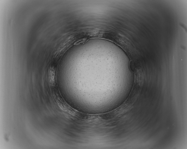 X0000102371154200808081146