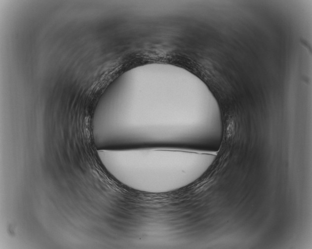 X0000102371156200808081146