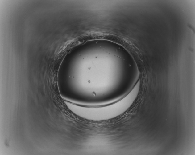 X0000102371157200808081146