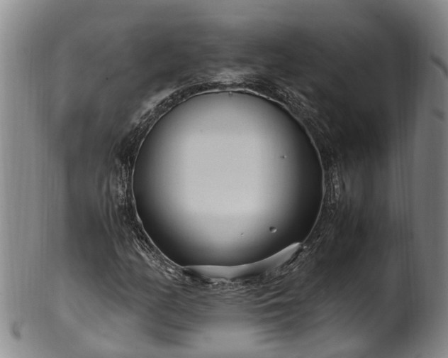 X0000102371158200808081146