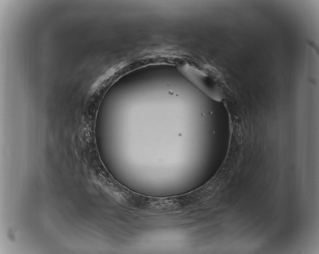 X0000102371159200808081146