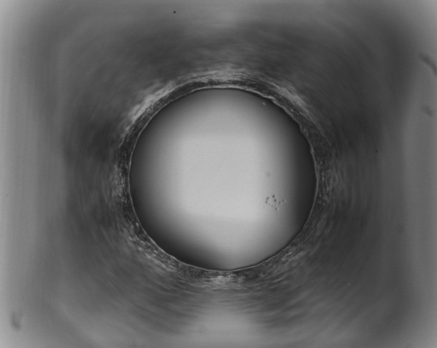 X0000102371160200808081146