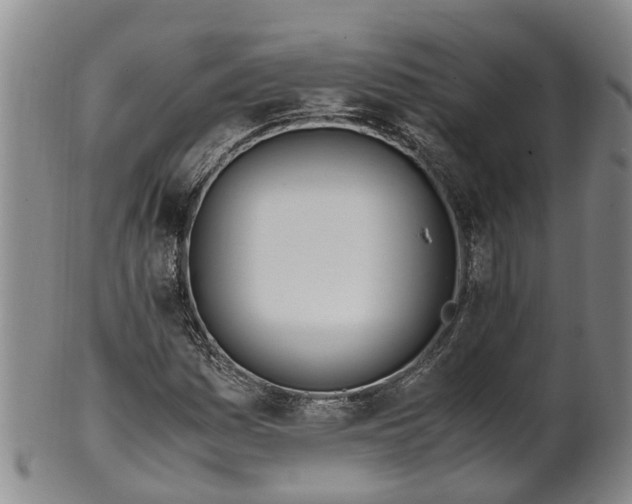 X0000102371161200808081146