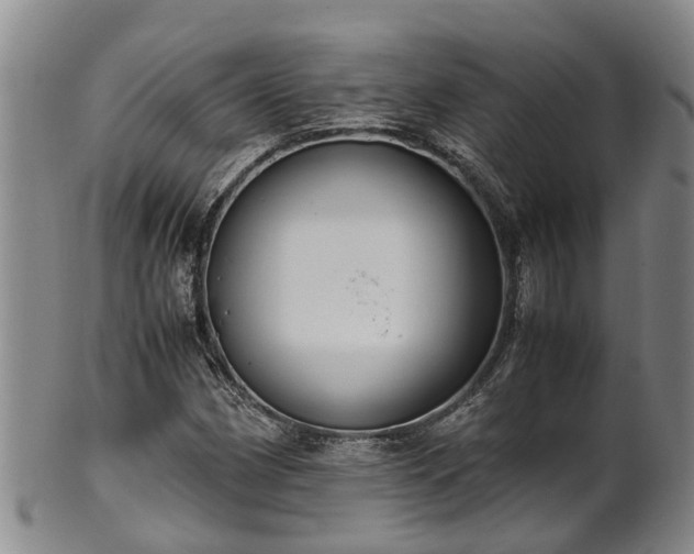 X0000102371162200808081146