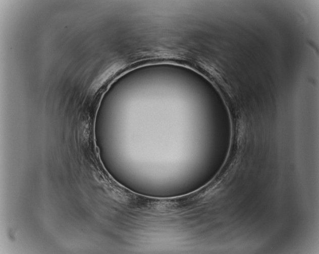 X0000102371163200808081146