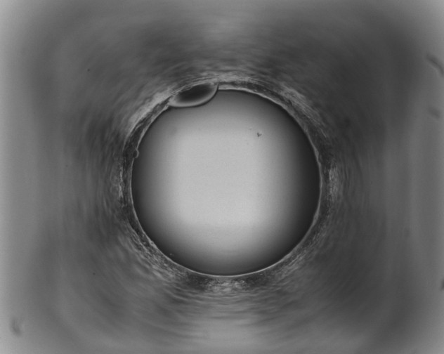 X0000102371165200808081146