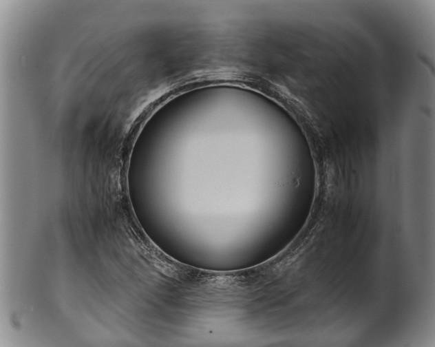 X0000102371166200808081146