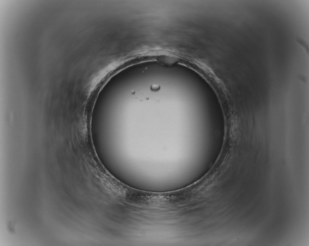 X0000102371167200808081146