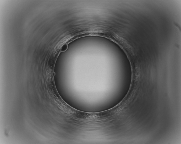 X0000102371169200808081146