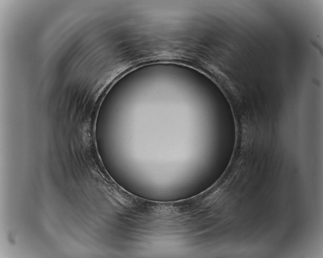 X0000102371170200808081146