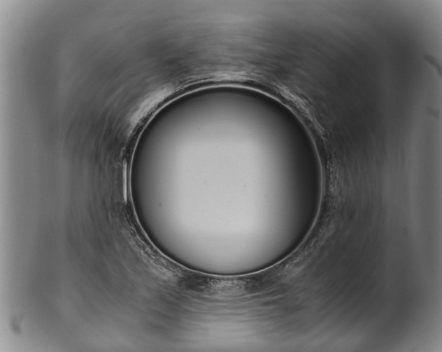 X0000102371171200808081146