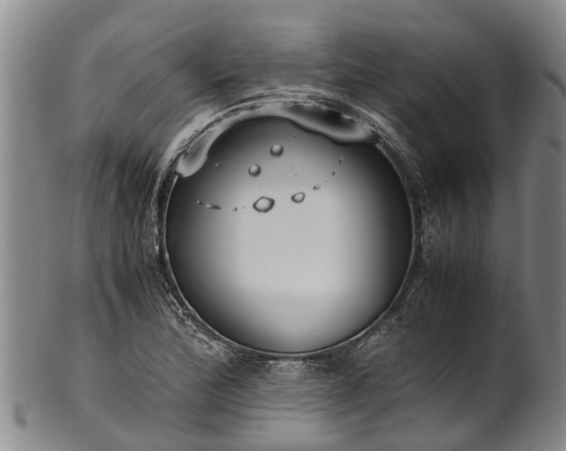 X0000102371172200808081146