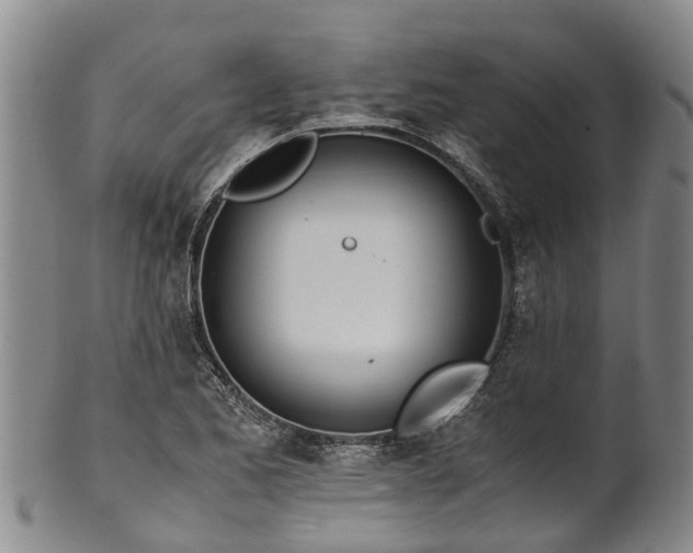 X0000102371173200808081146