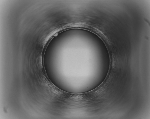 X0000102371174200808081146