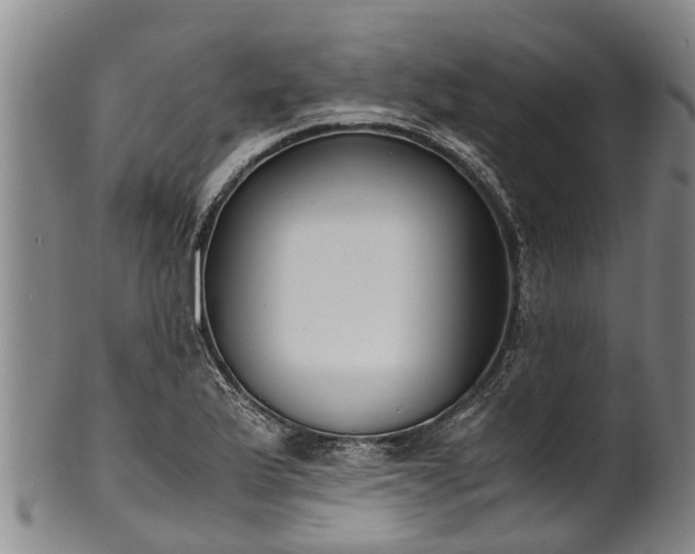 X0000102371175200808081146