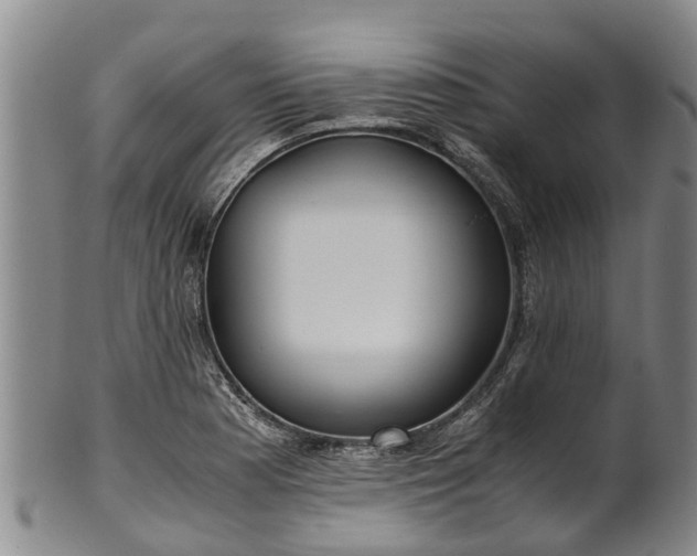 X0000102371177200808081146