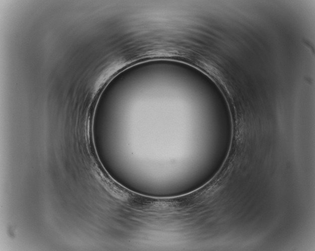 X0000102371179200808081146