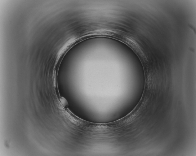 X0000102371180200808081146