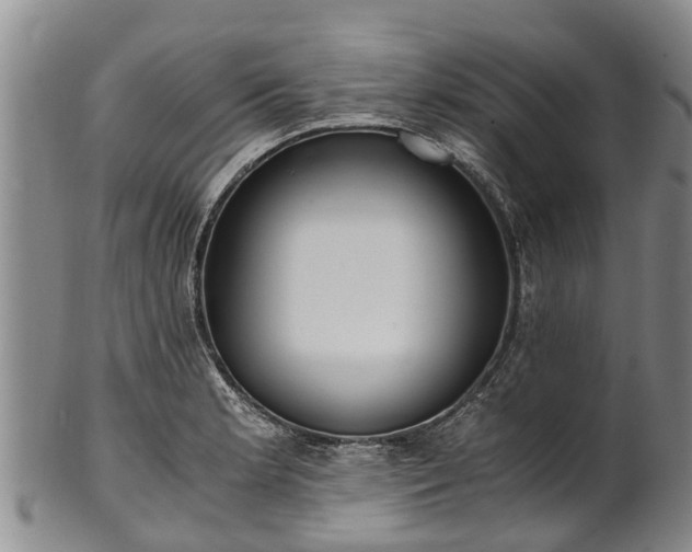 X0000102371181200808081146