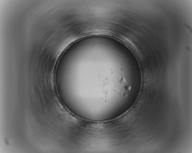 X0000102371182200808081146