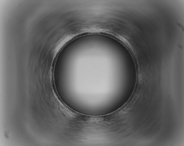 X0000102371183200808081146