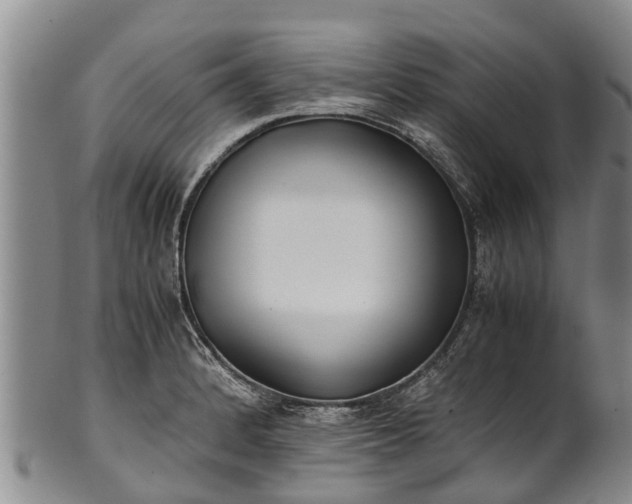 X0000102371184200808081146