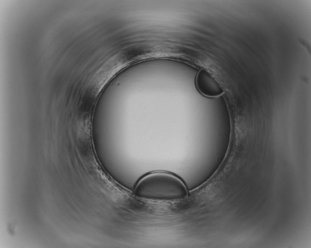 X0000102371185200808081146