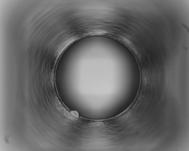 X0000102371186200808081146