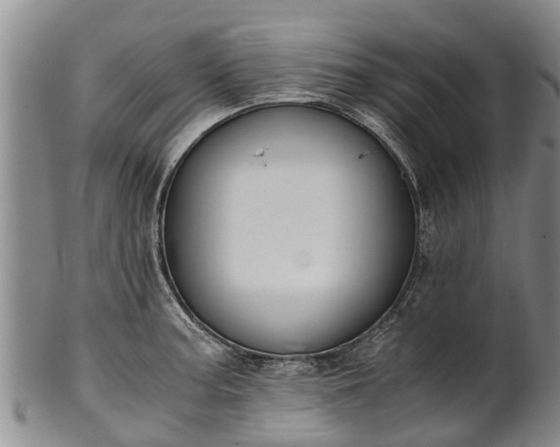 X0000102371187200808081146