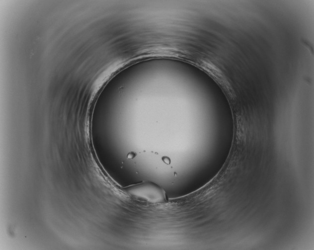 X0000102371188200808081146