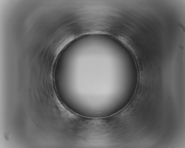 X0000102371189200808081146