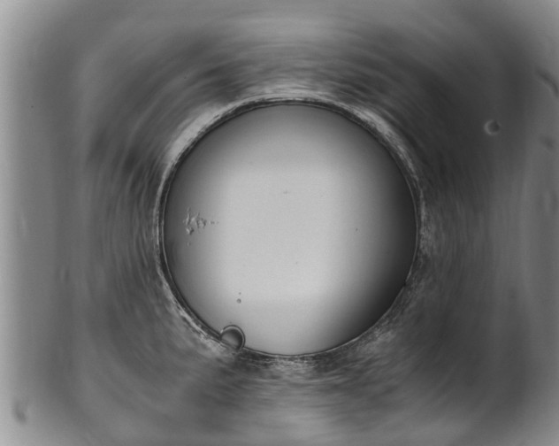 X0000102371191200808081146