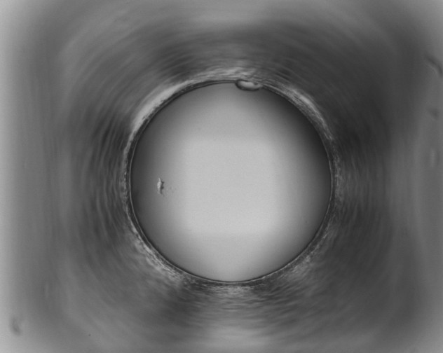 X0000102371192200808081146