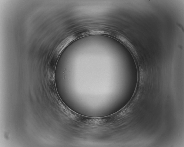 X0000102371193200808081146